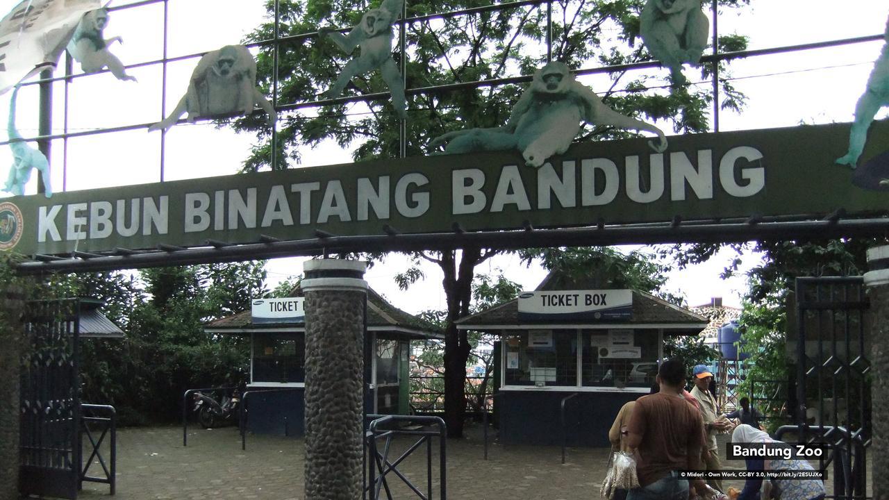Zen Rooms Bukit Tunggul Bandung Dış mekan fotoğraf